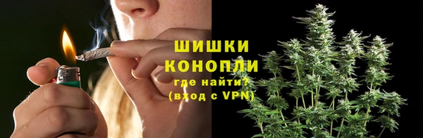 крисы Карталы